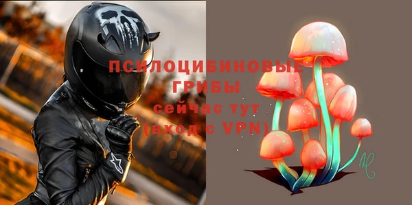 метадон Каменногорск
