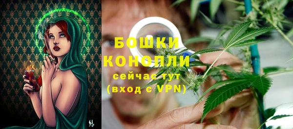 дживик Каменка