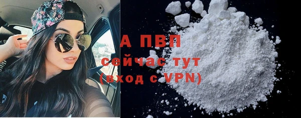дживик Каменка